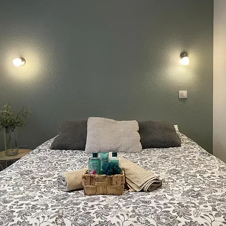 Le Joli T2 - Agreable - Parking Apartment Annemasse